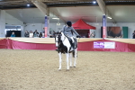 SBM_09095