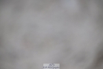 251115-115807-00293