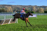 251025-Race 5-Hamlets Night-9502