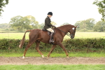 S66 - Hunter Ridden portfolio