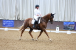 SBM_001706