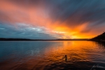 Swim at Sunset