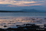 Strangford Lough at Dusk