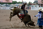 3HRodeo7-27-25_CFD_04096_Qynn Andersen