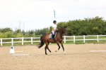 SBM_000691