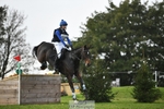 324-HAZZLE.DAZZLE-Henry.Hobby-XC portfolio