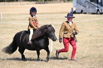 WJ6_9143