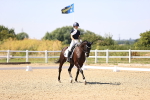 SBM_005504