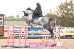 Cls 13 Snr Foxhunter and 1.20m portfolio