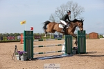 Cls 32 Young Horse 6yr old portfolio