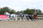 SBM_001196