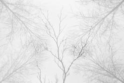 Protractile