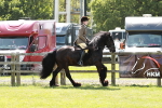 SBM_07055