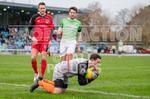 GFC v Phoenix Sports-14