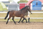 SBM_08507