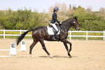 SBM_008362