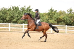 SBM_026967