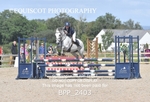 BPP_2403