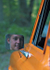 MattTull_009