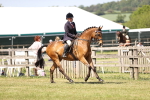 SBM_17995