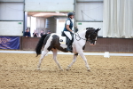 SBM_008953