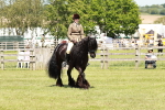 SBM_07118