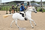 40cm Showjumping portfolio