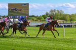 110526-Race 6-Betties Bay-1248