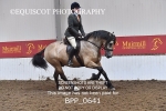 BPP_0641