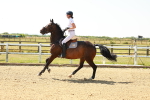 SBM_000662