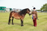 SBM_00651