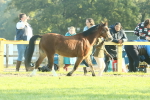 SBM_57349