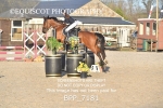BPP_7181
