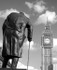 Churchill