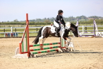 SBM_000356