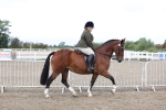 SBM_01475