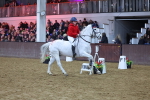 SBM_004591