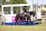 SBM_17971