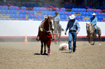 3HRodeo8-11-25_PRCASteer_05111_