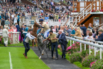 270724-Race 4-Greydreambeliever-7164