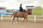 SBM_06313