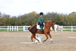 SBM_002333