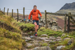 Langdale-970