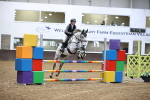 SBM_000422_Class 2 - Senior British Novice - 90cm Open