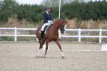 SBM_020402