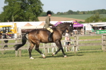 SBM_09760