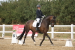 SBM_010994