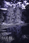 MtLoftyAutumnBlueReflections