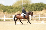 SBM_018135