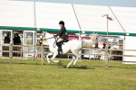 SBM_19262